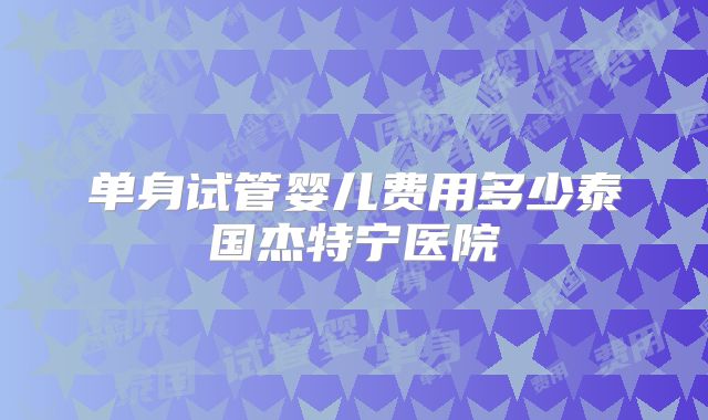 单身试管婴儿费用多少泰国杰特宁医院