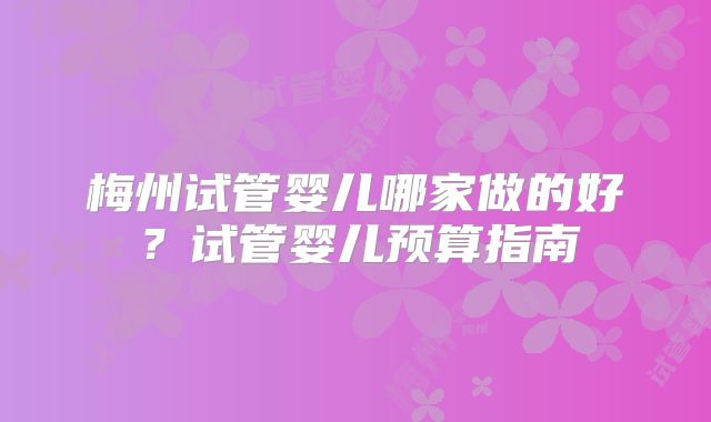 梅州试管婴儿哪家做的好?试管婴儿预算指南