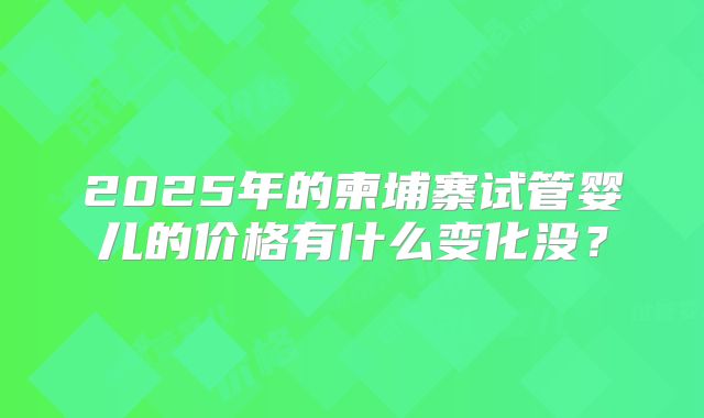 2025年的柬埔寨试管婴儿的价格有什么变化没?