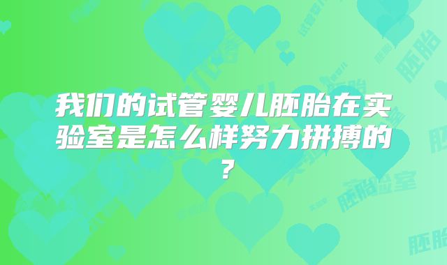 我们的试管婴儿胚胎在实验室是怎么样努力拼搏的？