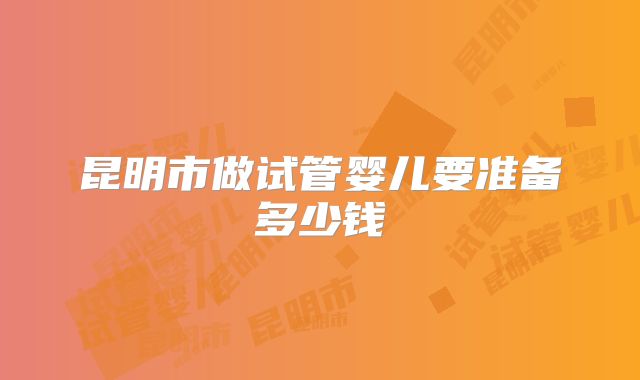 昆明市做试管婴儿要准备多少钱