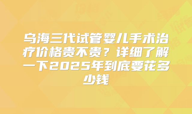 乌海三代试管婴儿手术治疗价格贵不贵？详细了解一下2025年到底要花多少钱