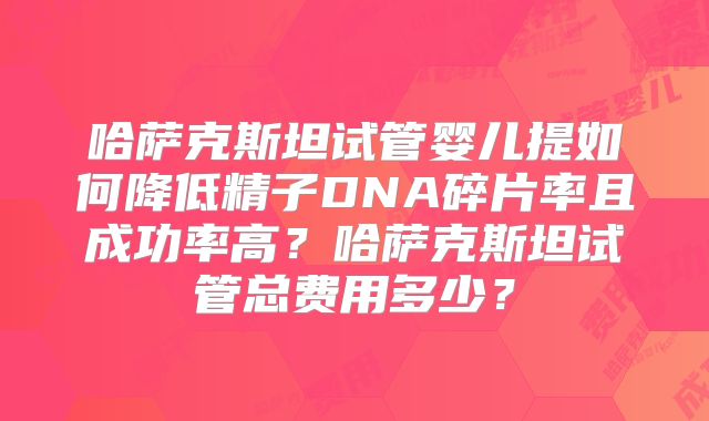 哈萨克斯坦试管婴儿提如何降低精子DNA碎片率且成功率高？哈萨克斯坦试管总费用多少？