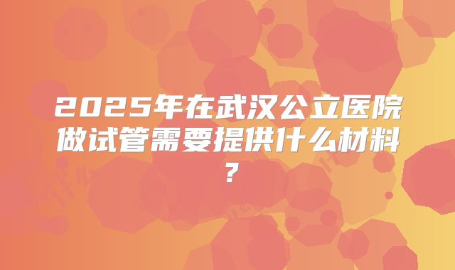 2025年在武汉公立医院做试管需要提供什么材料？