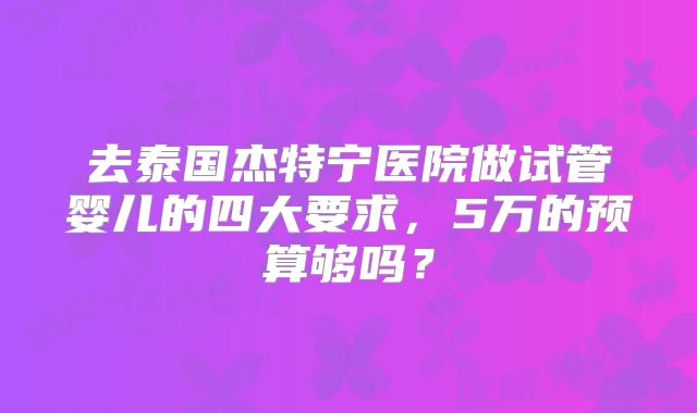 去泰国杰特宁医院做试管婴儿的四大要求，5万的预算够吗？