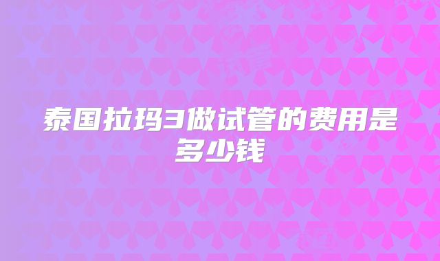 泰国拉玛3做试管的费用是多少钱