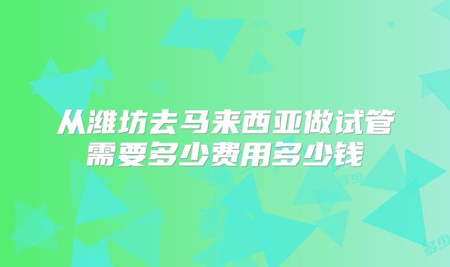 从潍坊去马来西亚做试管需要多少费用多少钱