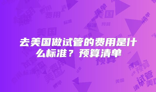 去美国做试管的费用是什么标准？预算清单