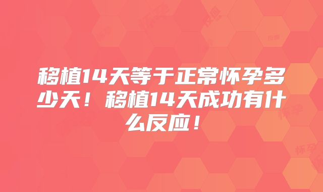 移植14天等于正常怀孕多少天!移植14天成功有什么反应!
