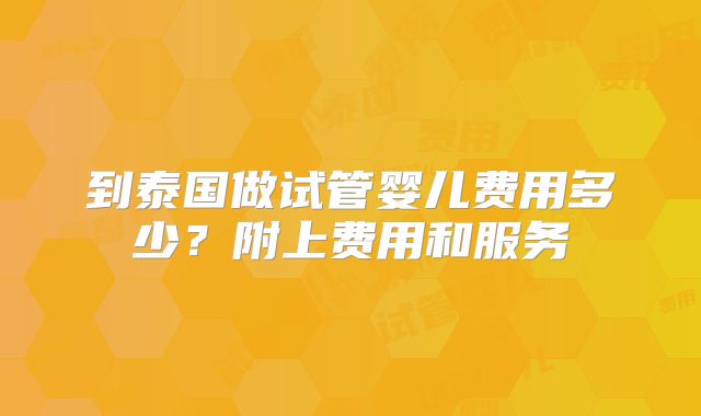 到泰国做试管婴儿费用多少？附上费用和服务