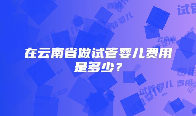在云南省做试管婴儿费用是多少？