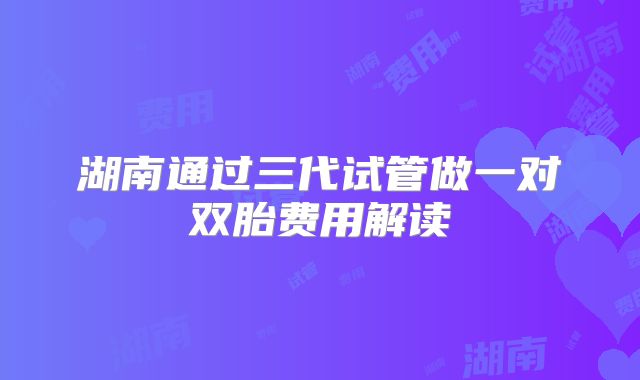 湖南通过三代试管做一对双胎费用解读