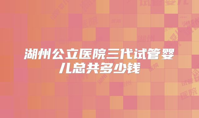 湖州公立医院三代试管婴儿总共多少钱