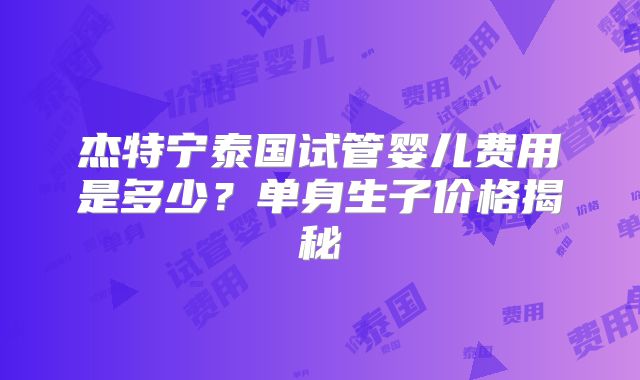 杰特宁泰国试管婴儿费用是多少？单身生子价格揭秘