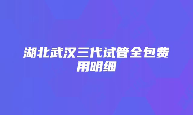 湖北武汉三代试管全包费用明细