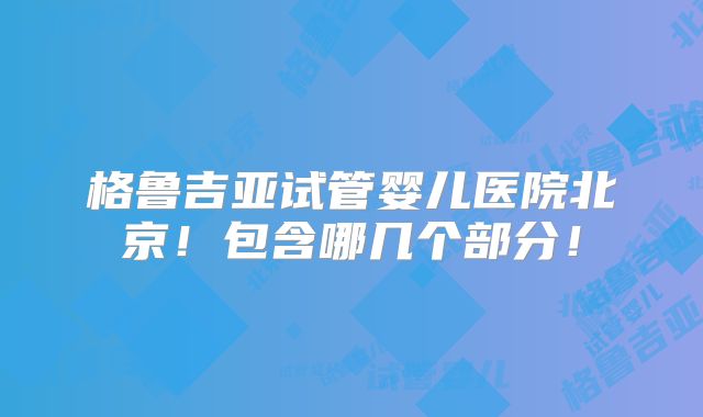 格鲁吉亚试管婴儿医院北京!包含哪几个部分!
