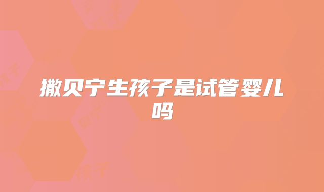 撒贝宁生孩子是试管婴儿吗