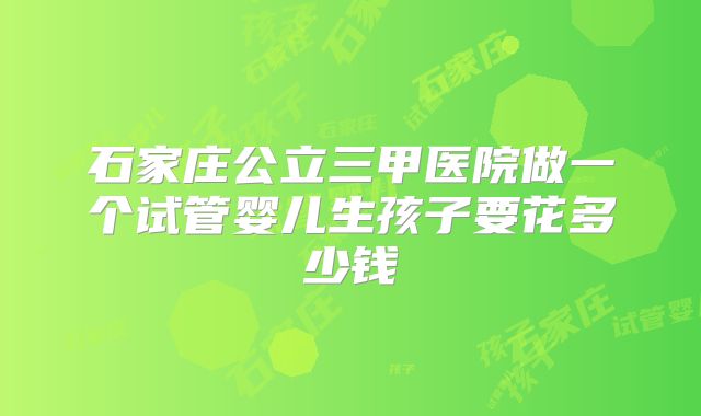 石家庄公立三甲医院做一个试管婴儿生孩子要花多少钱