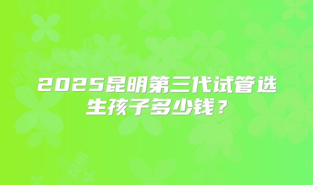 2025昆明第三代试管选生孩子多少钱？