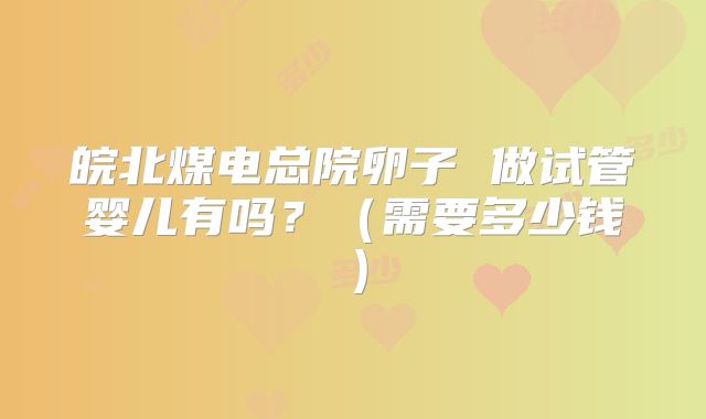 皖北煤电总院卵子 做试管婴儿有吗？（需要多少钱）