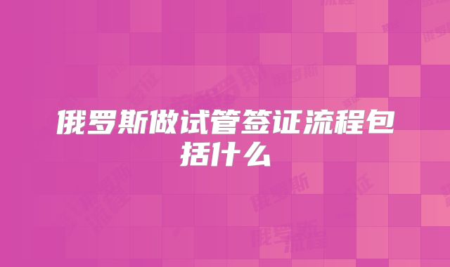俄罗斯做试管签证流程包括什么