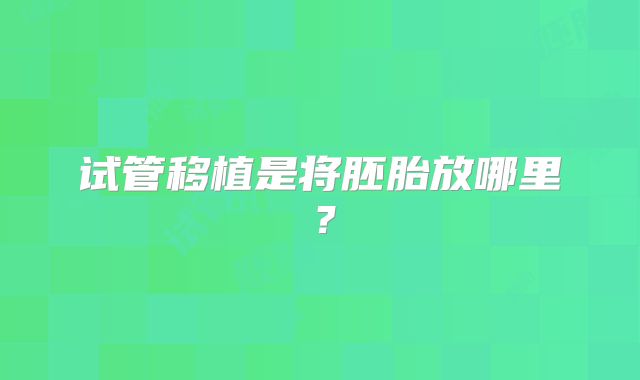 试管移植是将胚胎放哪里？