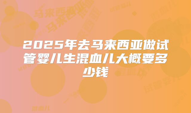 2025年去马来西亚做试管婴儿生混血儿大概要多少钱