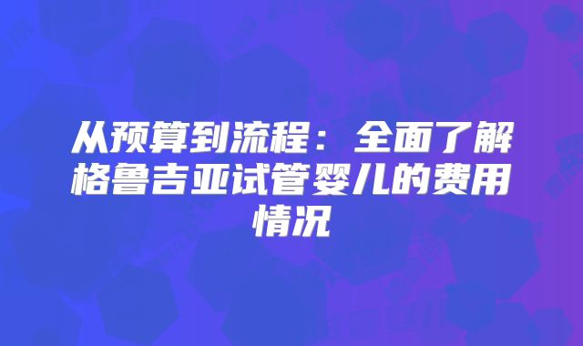从预算到流程:全面了解格鲁吉亚试管婴儿的费用情况
