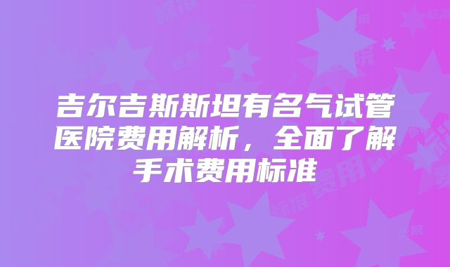 吉尔吉斯斯坦有名气试管医院费用解析，全面了解手术费用标准