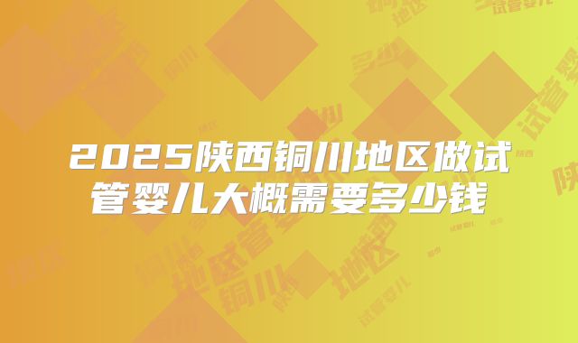 2025陕西铜川地区做试管婴儿大概需要多少钱