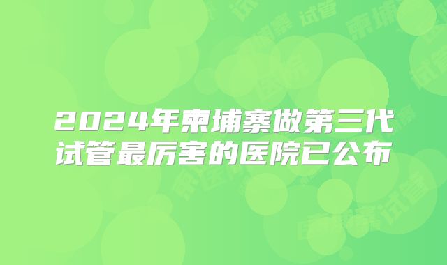 2024年柬埔寨做第三代试管最厉害的医院已公布