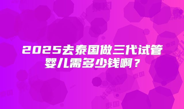 2025去泰国做三代试管婴儿需多少钱啊？