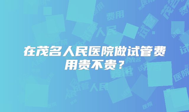 在茂名人民医院做试管费用贵不贵？
