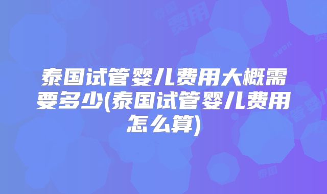泰国试管婴儿费用大概需要多少(泰国试管婴儿费用怎么算)