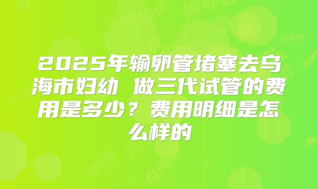 2025年输卵管堵塞去乌海市妇幼 做三代试管的费用是多少？费用明细是怎么样的