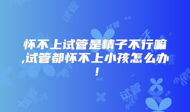 怀不上试管是精子不行嘛,试管都怀不上小孩怎么办!
