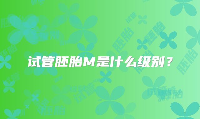 试管胚胎M是什么级别？