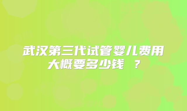 武汉第三代试管婴儿费用大概要多少钱 ？