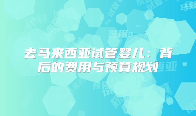 去马来西亚试管婴儿:背后的费用与预算规划