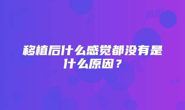 移植后什么感觉都没有是什么原因？