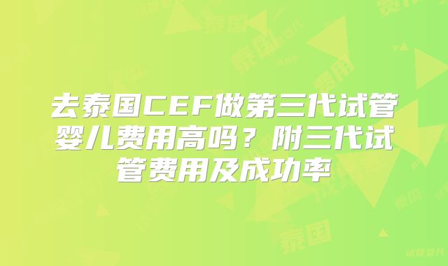 去泰国CEF做第三代试管婴儿费用高吗？附三代试管费用及成功率