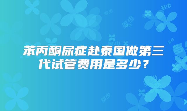 苯丙酮尿症赴泰国做第三代试管费用是多少？