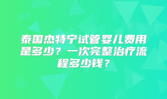 泰国杰特宁试管婴儿费用是多少？一次完整治疗流程多少钱？