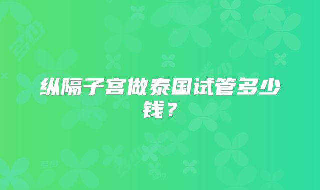 纵隔子宫做泰国试管多少钱？