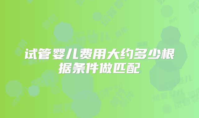 试管婴儿费用大约多少根据条件做匹配