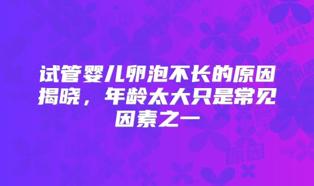 试管婴儿卵泡不长的原因揭晓,年龄太大只是常见因素之一