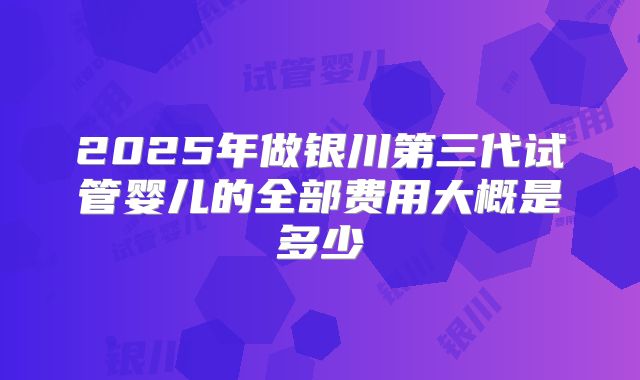 2025年做银川第三代试管婴儿的全部费用大概是多少