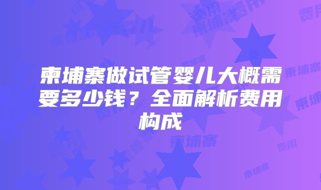 柬埔寨做试管婴儿大概需要多少钱？全面解析费用构成