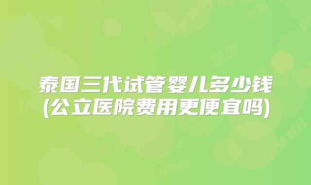 泰国三代试管婴儿多少钱(公立医院费用更便宜吗)
