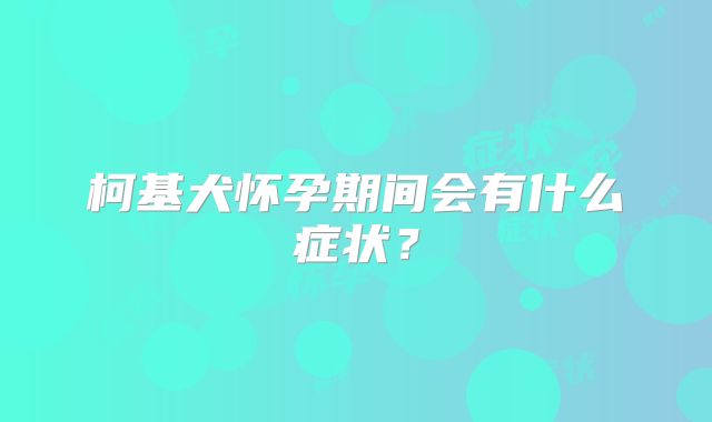 柯基犬怀孕期间会有什么症状?